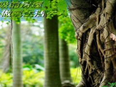 简介：